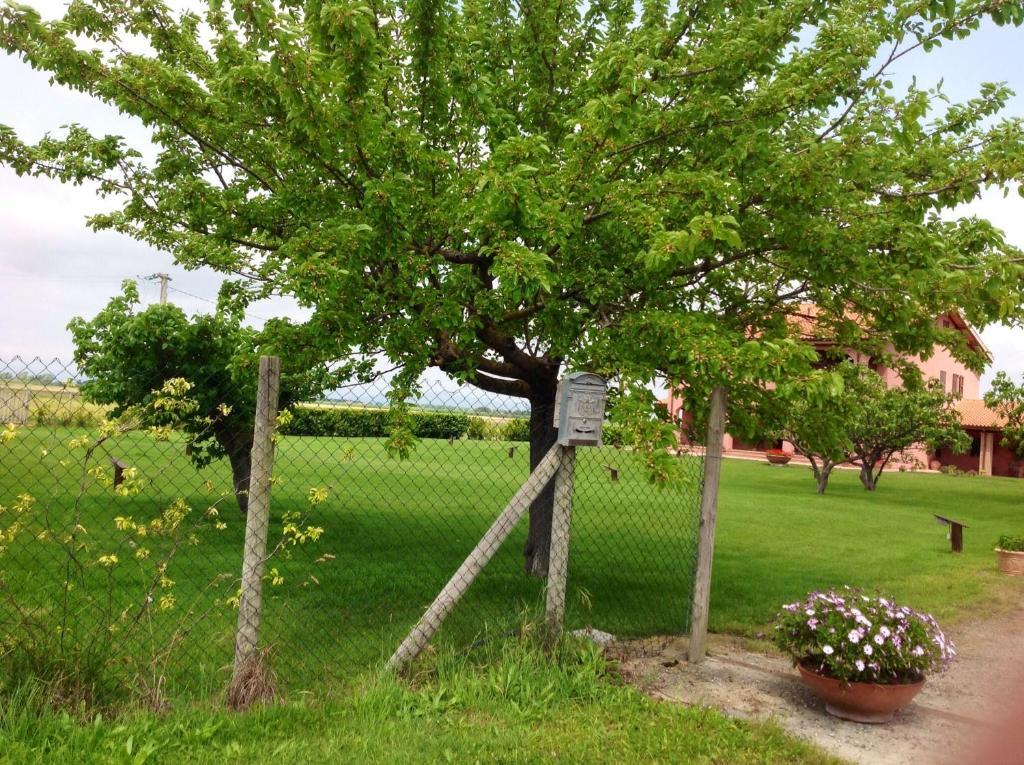 Agriturismo Podere Cirene Rispescia Eksteriør bilde